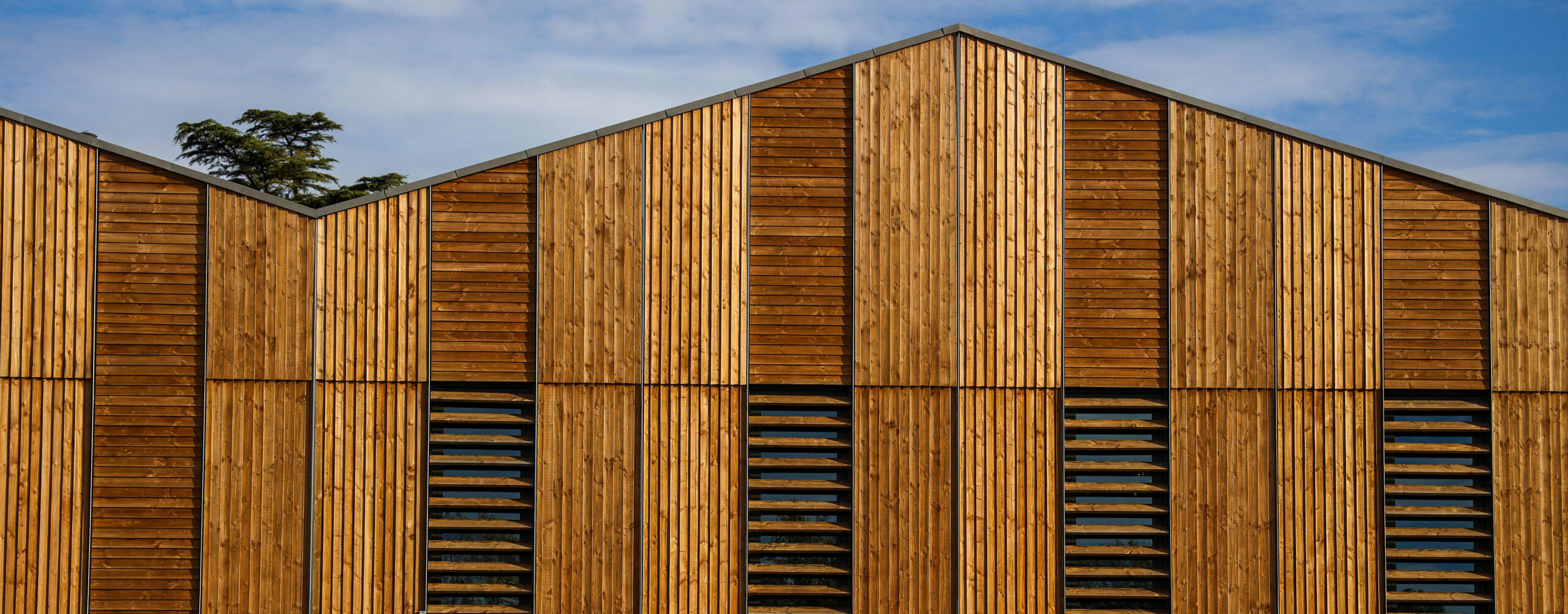 CYCLE – PUBLIC/PRIVÉ - VIVRE L'ARCHITECTURE DE NOTRE TEMPS : Le rêve de la maison individuelle