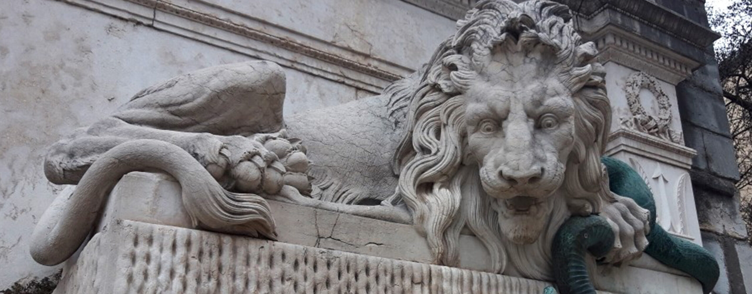 Un bestiaire dans la ville